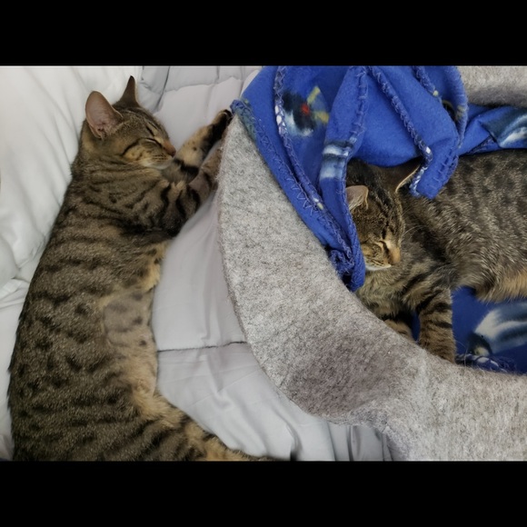 Alex & Ali - Picture 9 of 9